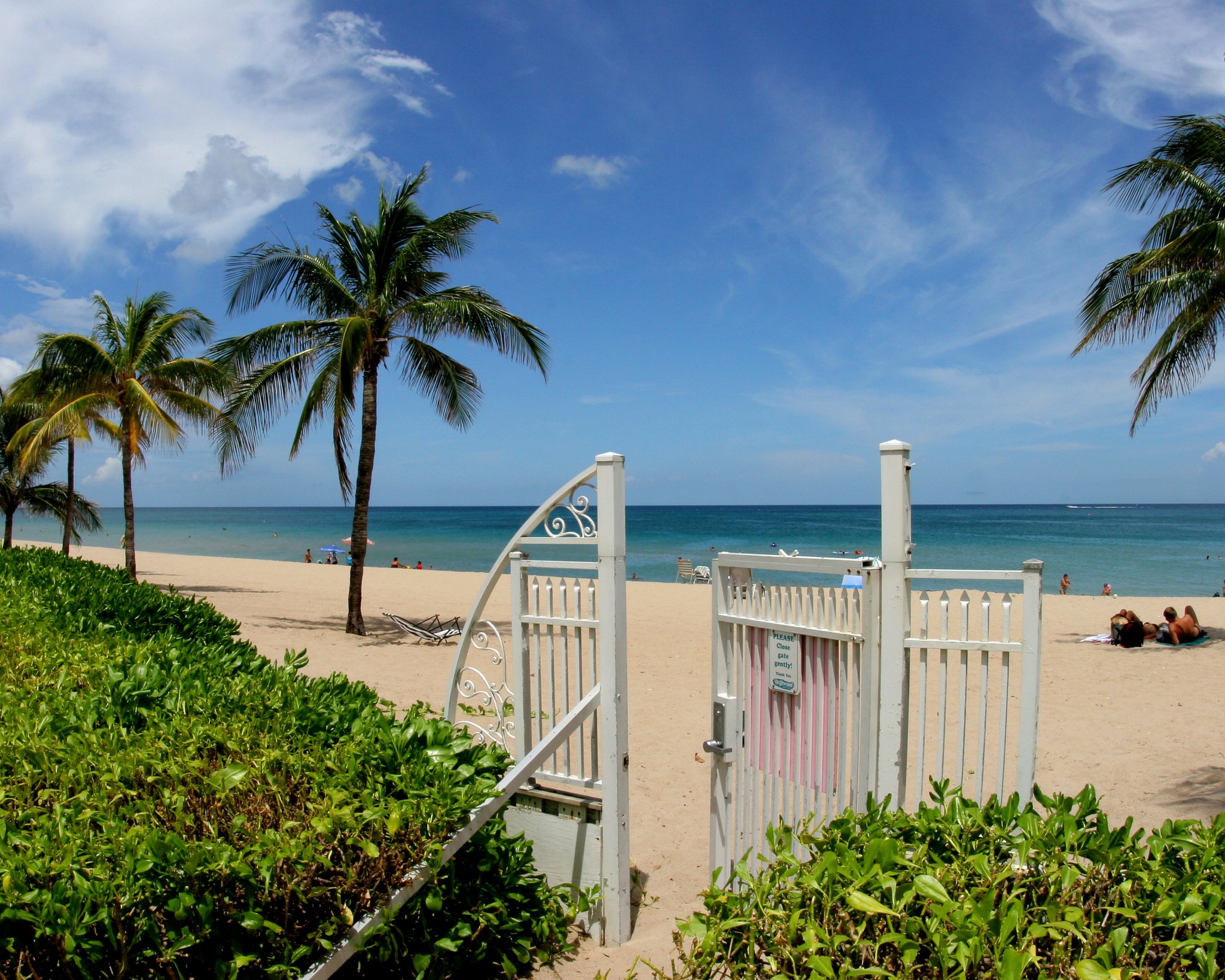 Studio Saturday Check In By Driftwood Beach Club In LauderdaleByThe