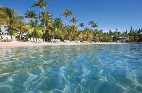 Things To Do Near Club Wyndham Elysian Beach Resort In St Thomas Us Virgin  Islands